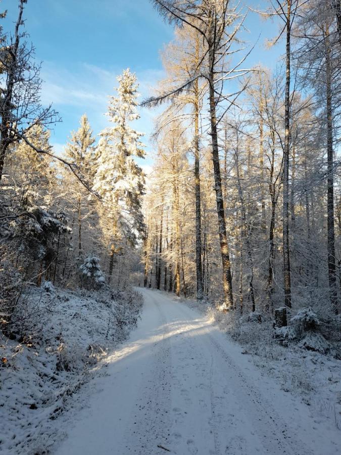Fraenkische Linie - Radspitz-Ferienwohnungen Marktrodach Exteriör bild
